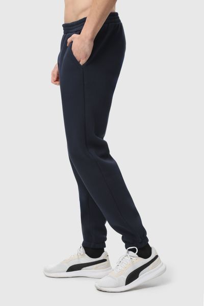 Штани базові Ray Basic утеплені чоловічі темно-сині (U0901M-Navy Blue) S U0901M-Navy Blue фото