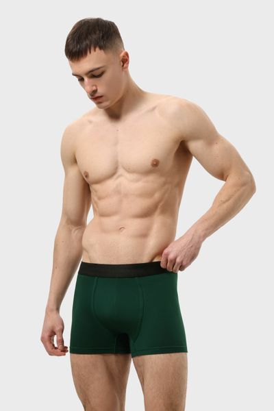 Трусы мужские боксеры RAY BASIC Темно-зеленый (M2101-Bottle Green) S M2101-Bottle Green фото