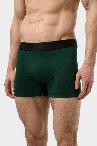 Трусы мужские боксеры RAY BASIC Темно-зеленый (M2101-Bottle Green) S M2101-Bottle Green фото