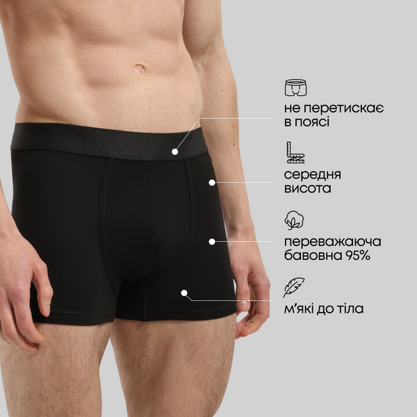 Набір труси боксери чоловічі 3шт RAY BASIC Чорний (M2101-3PACK4) S M2101-3PACK4 фото
