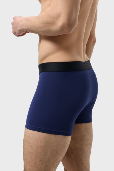 Труси боксери чоловічі RAY BASIC Темно-синій (M2101-Navy Blue) S M2101-Navy Blue фото