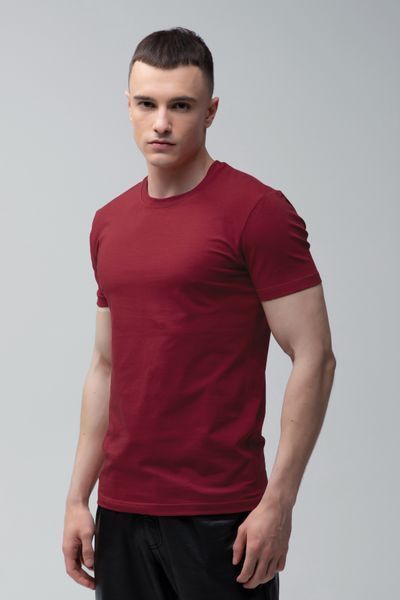 Футболка базовая Ray Premium Fit мужская бордовая (U0102-Burgundy) XS U0102-Burgundy фото