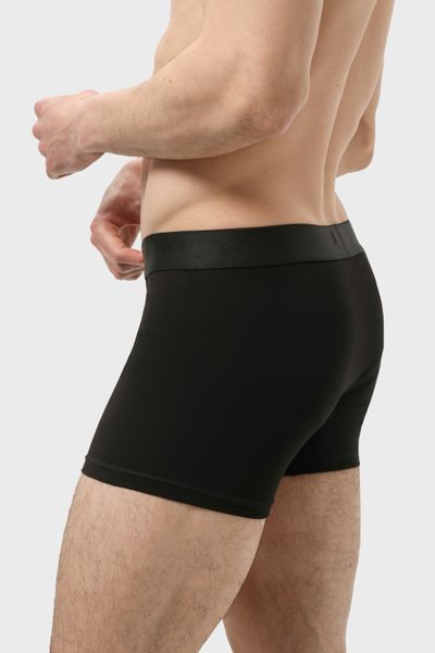 Труси боксери чоловічі RAY BASIC Чорний (M2101-Black) S M2101-Black фото
