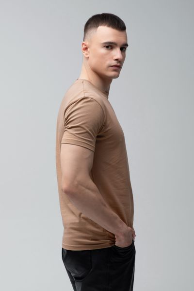Футболка базовая Ray Premium Fit мужская коричневая (U0102-Brown) XS U0102-Brown фото