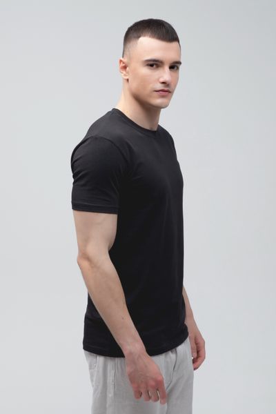 Футболка базовая Ray Premium Fit мужская черная (U0102-Black) XS U0102-Black фото