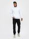 Худі базове Ray Basic утеплене чоловіче біле (U0401M-White) XS U0401M-White фото 4